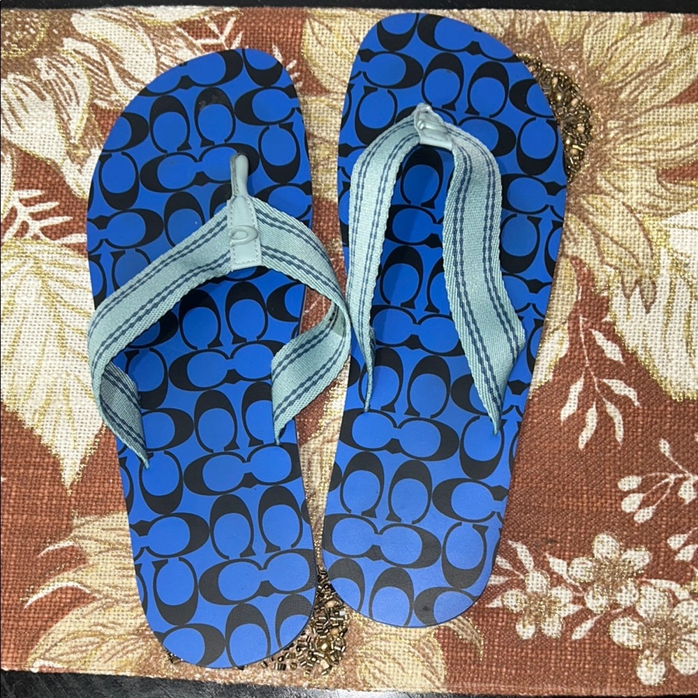 Coach Blue and Black Flip-Flops